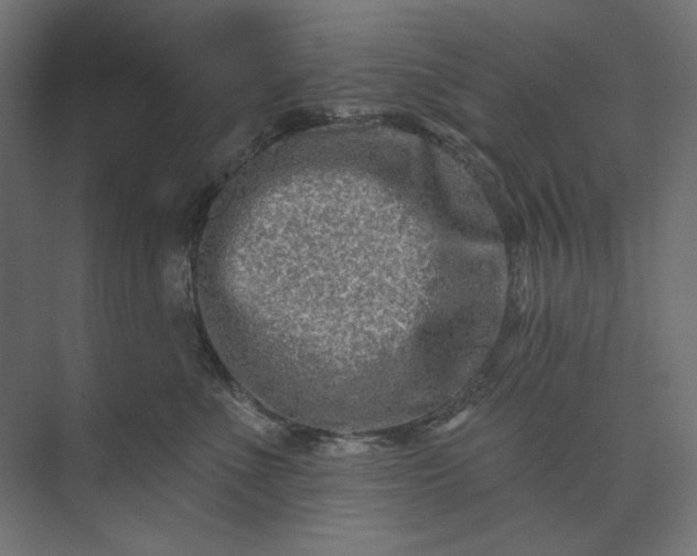 X0000073910523200608251527