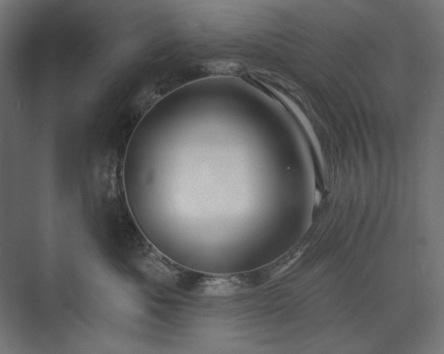 X0000073910525200608251527