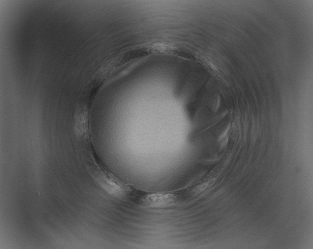 X0000073910526200608251526