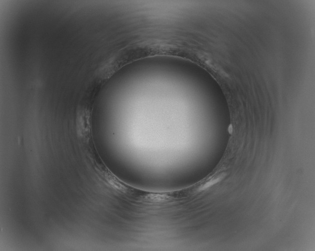 X0000073910528200608251526