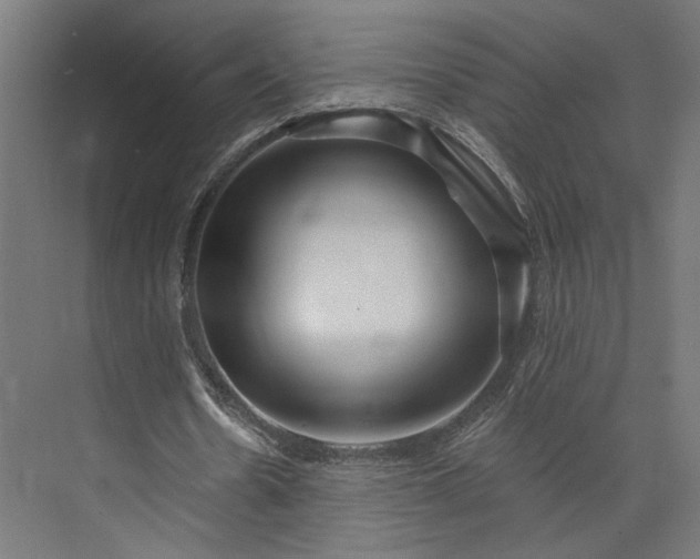 X0000073910530200608251526