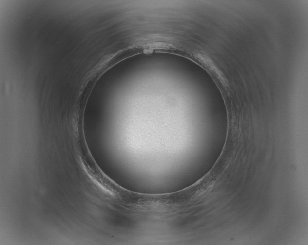 X0000073910533200608251526