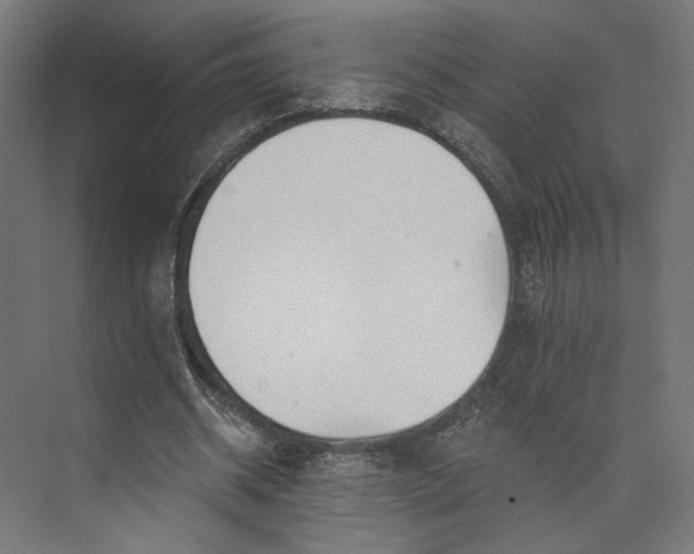 X0000073910534200608251526