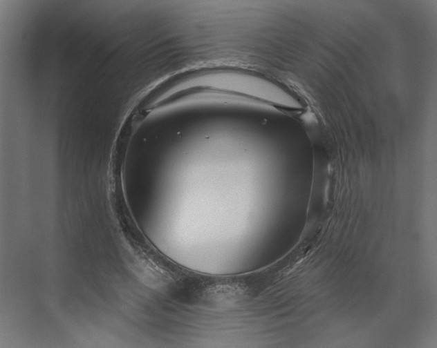 X0000073910536200608251526