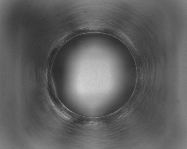 X0000073910542200608251526