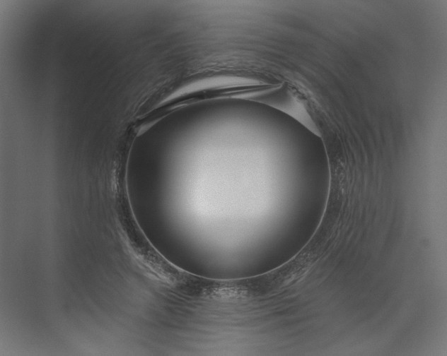 X0000073910546200608251526
