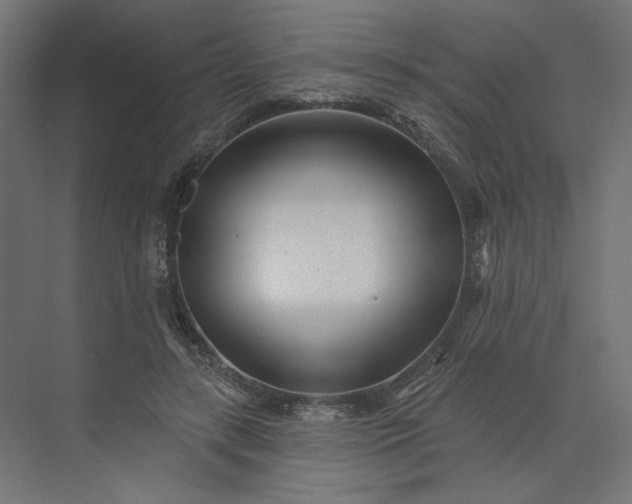 X0000073910547200608251526