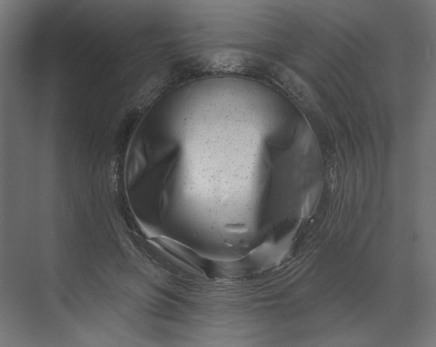 X0000073910551200608251526