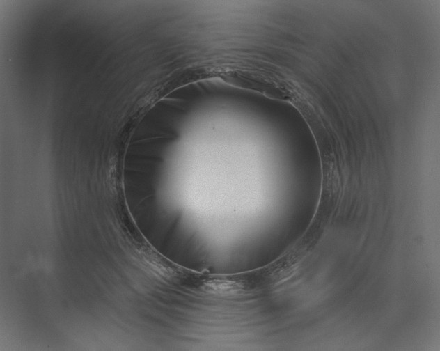 X0000073910557200608251526