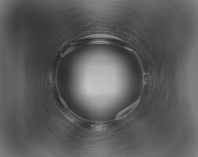 X0000073910564200608251526