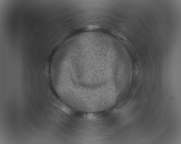 X0000073910565200608251526