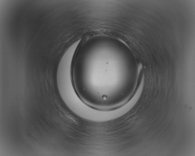 X0000073910566200608251526