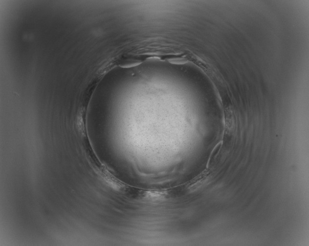 X0000073910573200608251526
