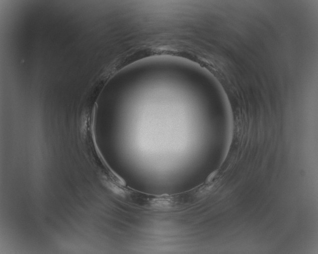 X0000073910574200608251526