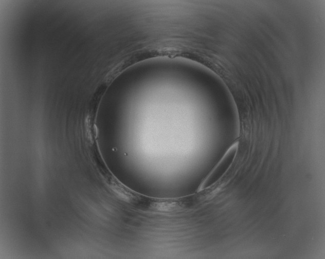 X0000073910575200608251526