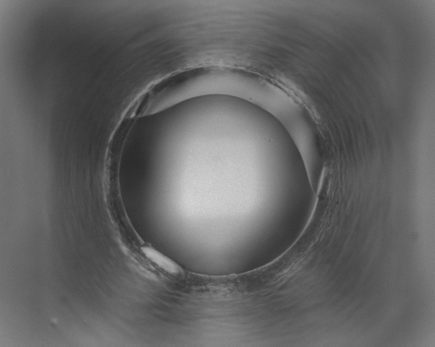 X0000073910580200608251526
