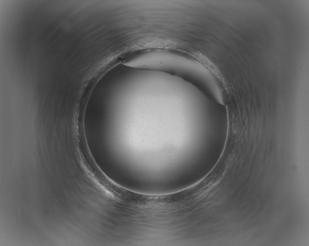 X0000073910581200608251526