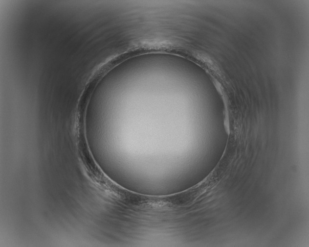 X0000073910583200608251526