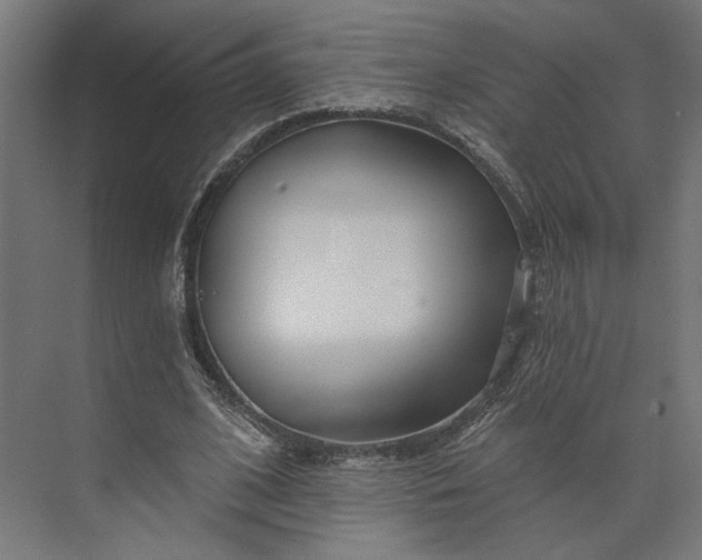 X0000073910584200608251526
