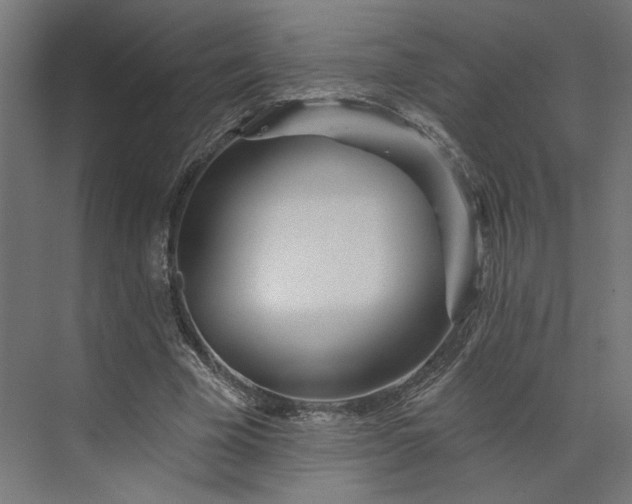 X0000073910585200608251525
