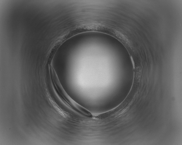 X0000073910589200608251525