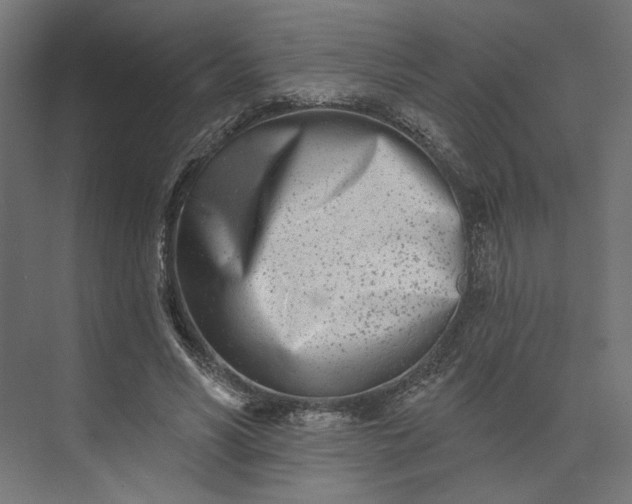 X0000073910590200608251525