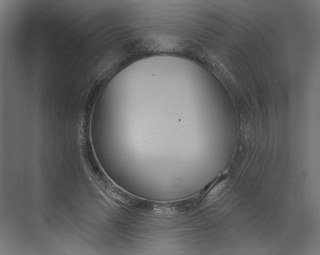 X0000073910591200608251525