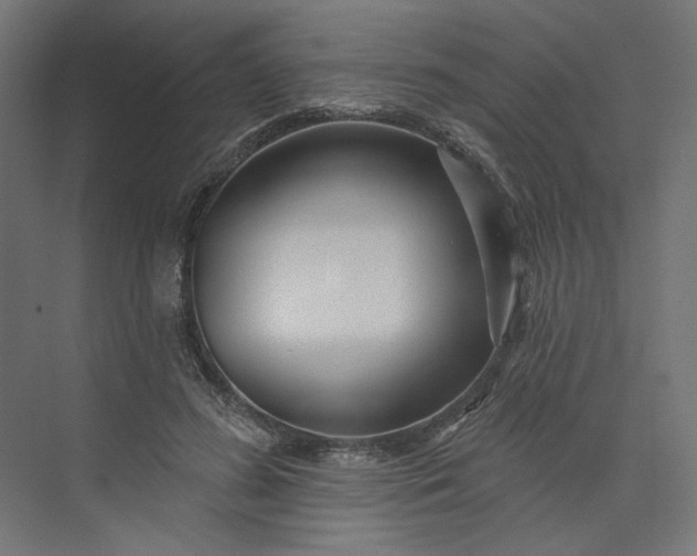 X0000073910596200608251525