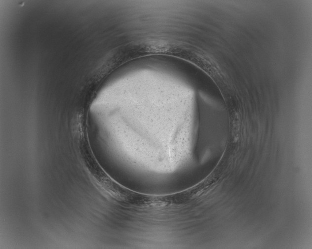 X0000073910598200608251525