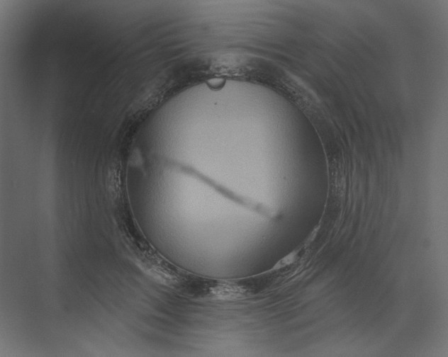 X0000073910603200608251525