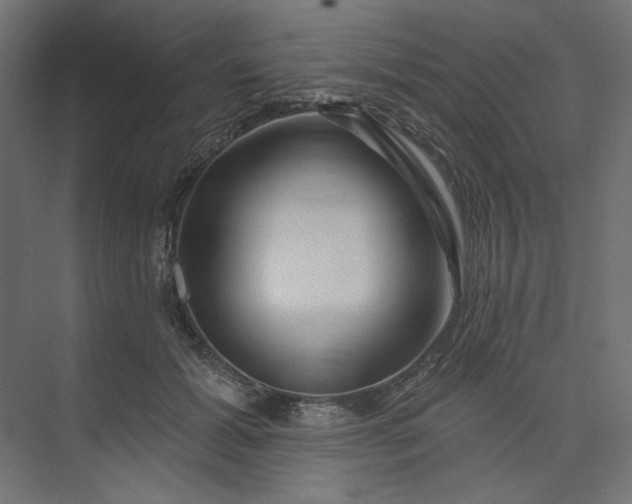 X0000073910605200608251525