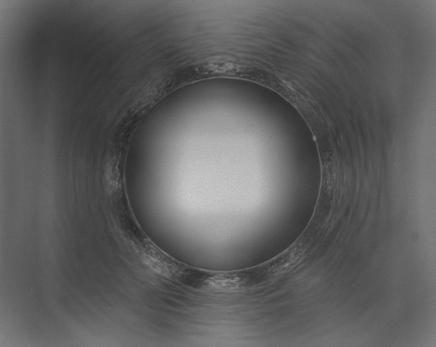 X0000073910606200608251525