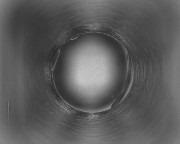 X0000073910609200608251525