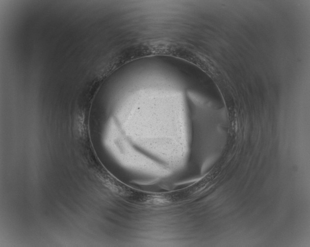X0000073910610200608251525