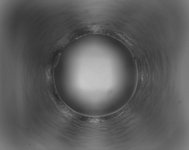X0000073910611200608251525