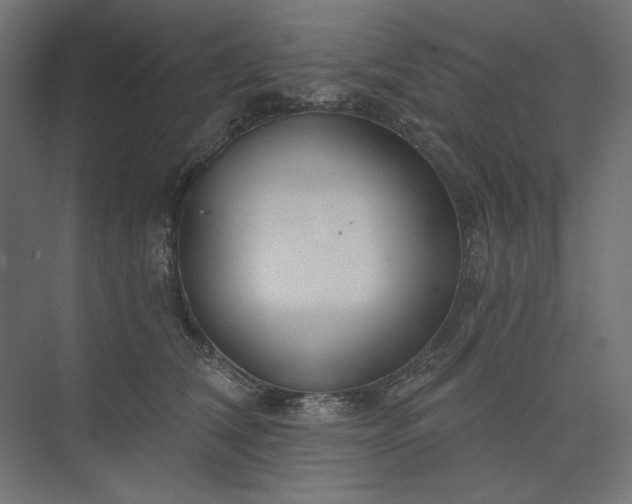 X0000073910612200608251525