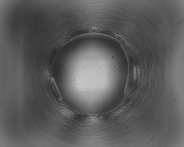 X0000073910613200608251525