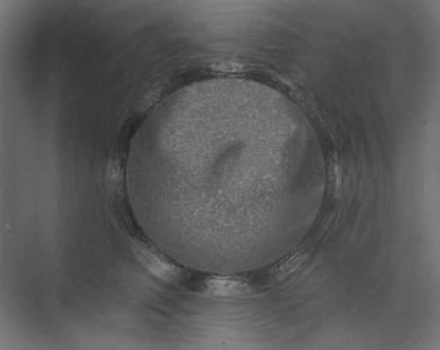 X0000073910614200608251525