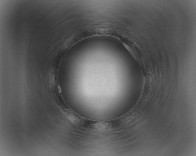 X0000073910615200608251525