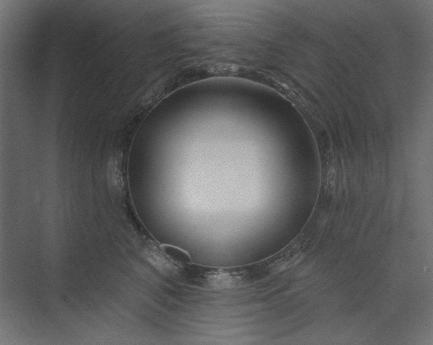 X0000073910616200608251525