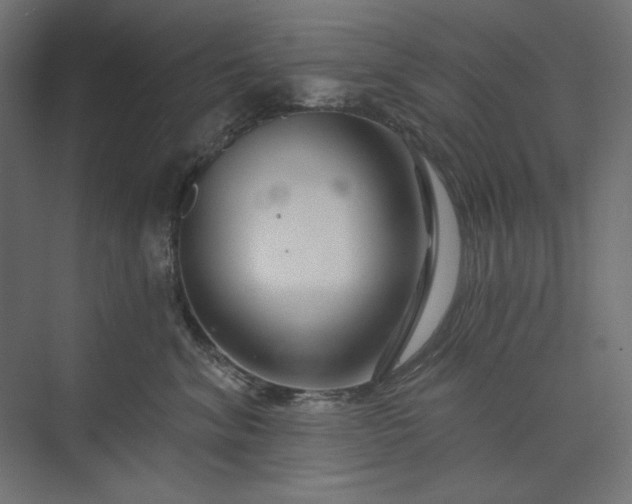 X0000073910620200608251525