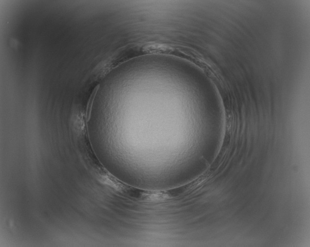 X0000073910621200608251525