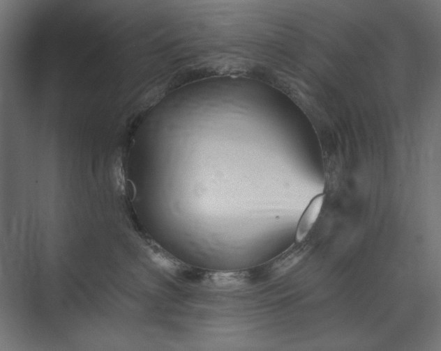 X0000073910622200608251525