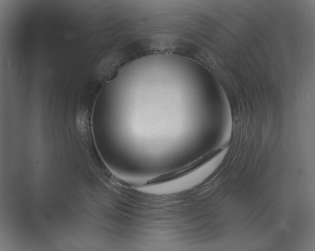 X0000073910623200608251525