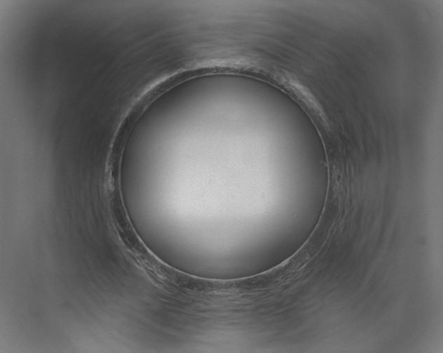 X0000073910628200608251524