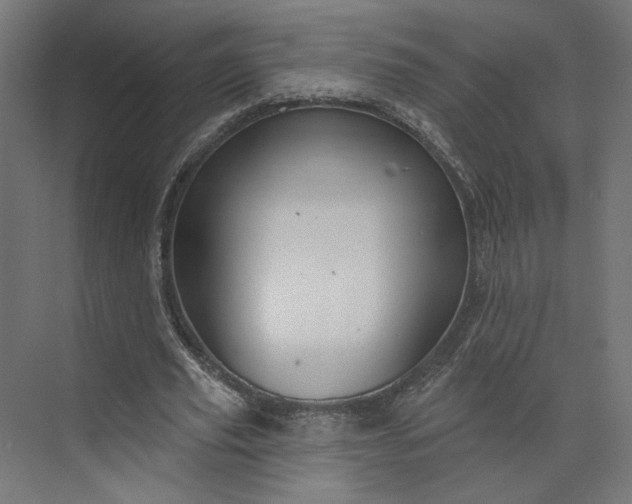 X0000073910629200608251524
