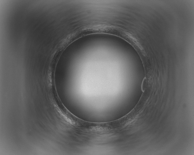 X0000073910633200608251524