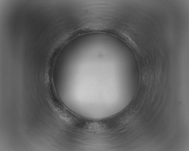X0000073910635200608251524