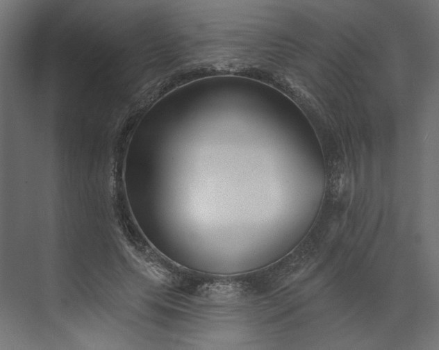 X0000073910639200608251524