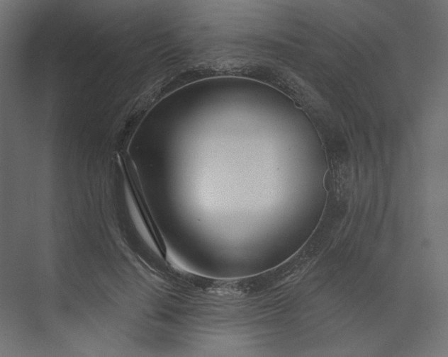 X0000073910644200608251524